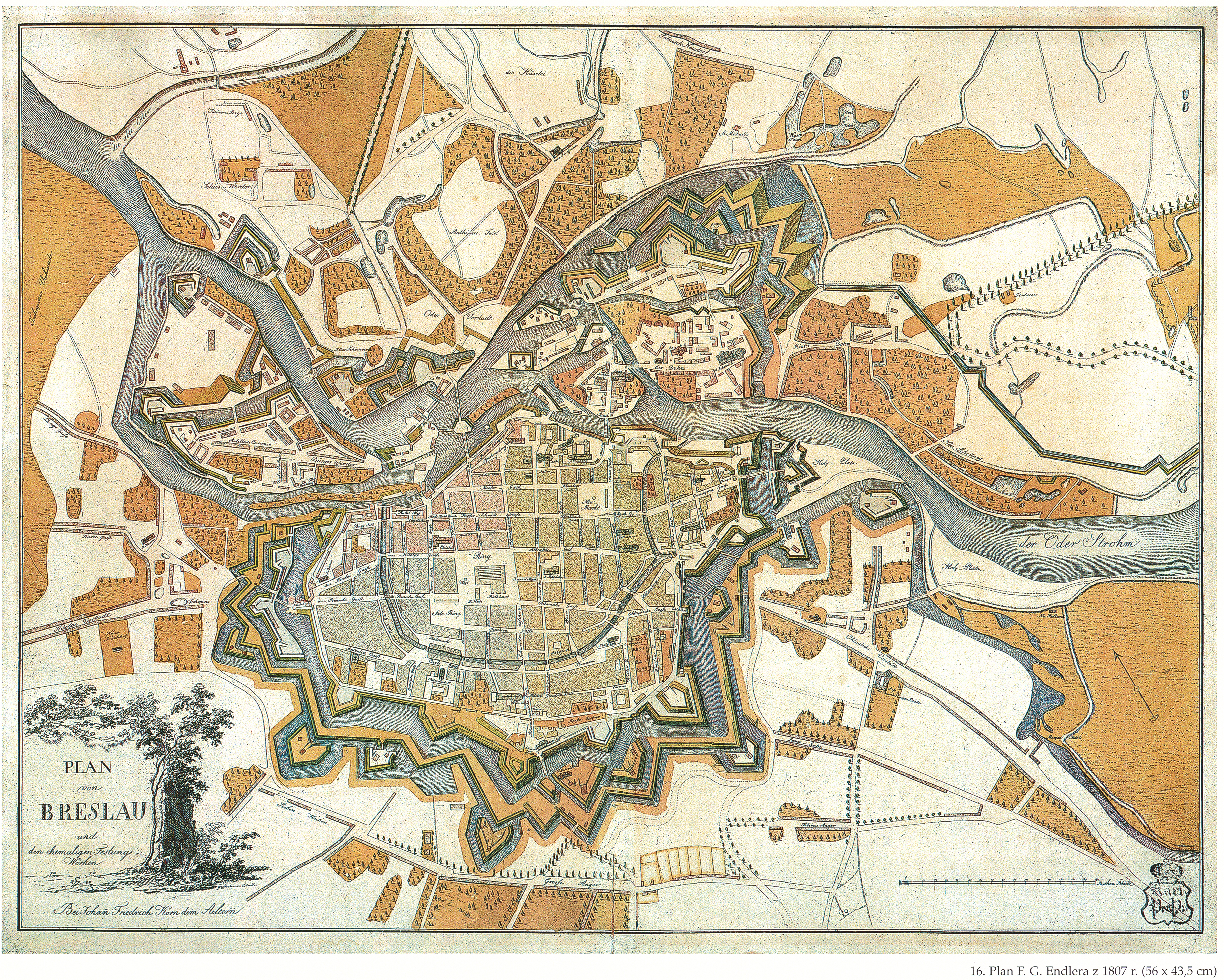 Бреслау где находится. Оборона Бреслау 1945 карта. Осада Бреслау карта. Штурм Бреслау карта.